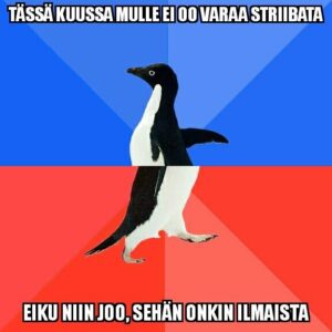 striiba_pingu